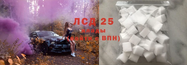 крисы Абаза