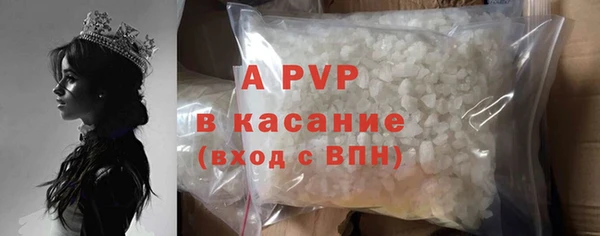 крисы Абаза