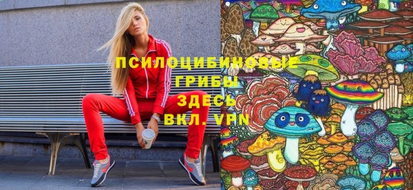 крисы Абаза