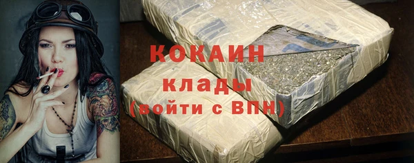 крисы Абаза