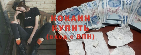 крисы Абаза