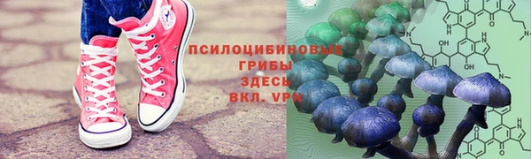крисы Абаза
