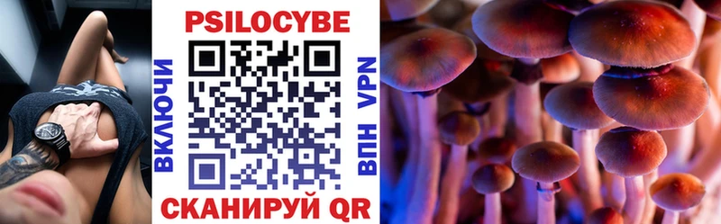 Псилоцибиновые грибы прущие грибы  где купить наркоту  Бобров 